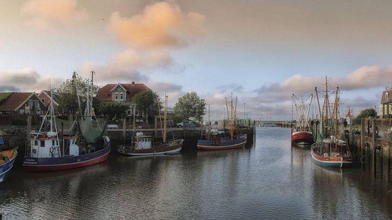 Bild 31 Bild 31